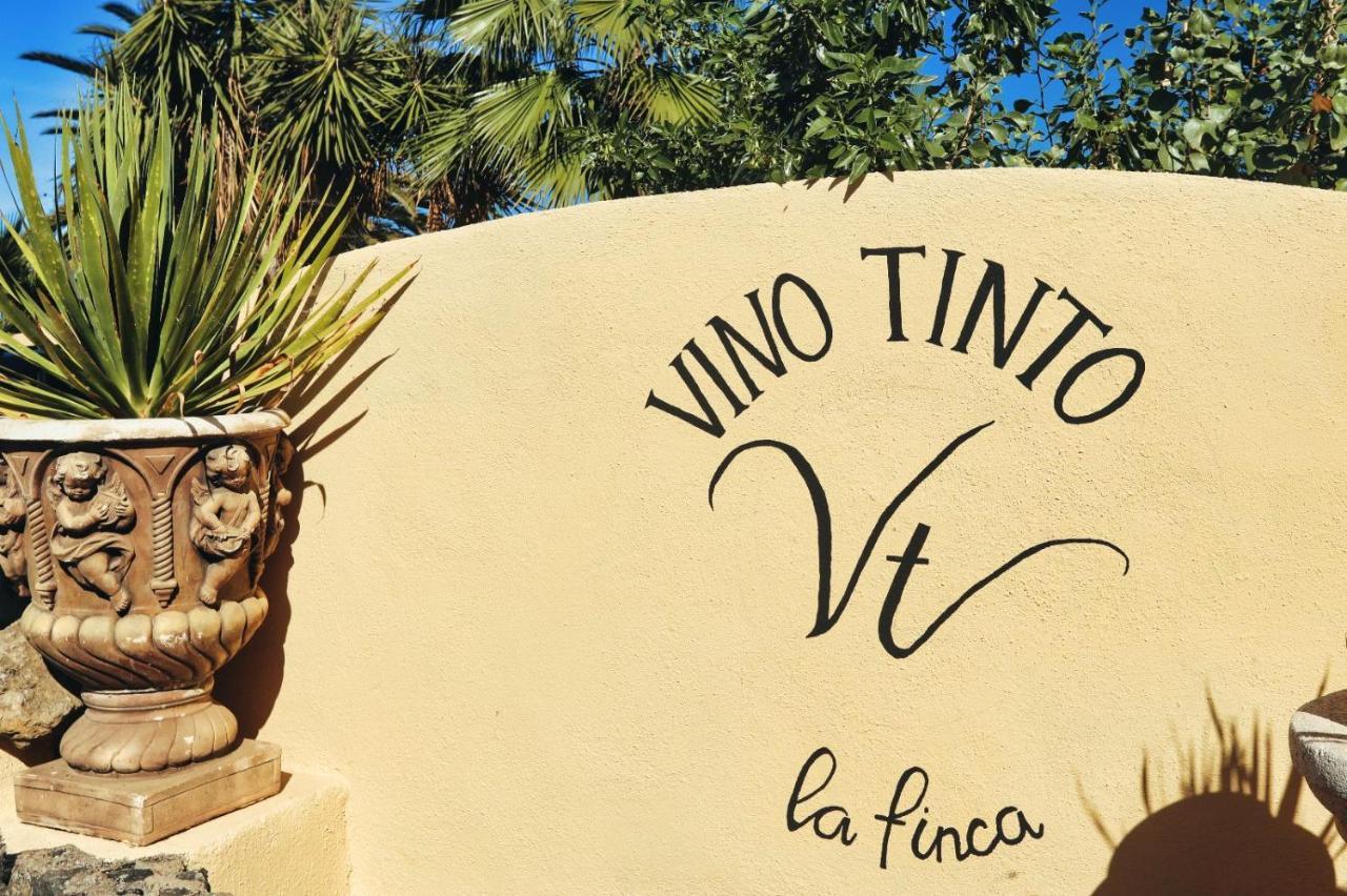 Finca Vino Tinto 2 Icod De Los Vinos Exterior photo